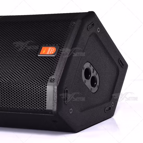 Professioneller wiederaufladbarer Party-Lautsprecher im neuen Trend. Professionelle Audiobox mit 10-Zoll-Tiefbass-Tieftöner